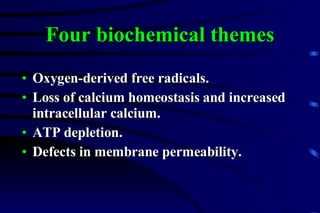 Four biochemical themes Oxygen-derived free radicals. Loss of calcium homeostasis and increased intracellular calcium. ATP depletion. Defects in membrane permeability. 