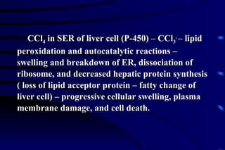CCl 4  in SER of liver cell (P-450) – CCl 3 .  – lipid peroxidation and autocatalytic reactions – swelling and breakdown of ER, dissociation of ribosome, and decreased hepatic protein synthesis ( loss of lipid acceptor protein – fatty change of liver cell) – progressive cellular swelling, plasma membrane damage, and cell death. 