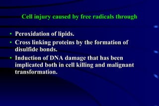 Cell injury caused by free radicals through Peroxidation of lipids. Cross linking proteins by the formation of disulfide bonds. Induction of DNA damage that has been implicated both in cell killing and malignant transformation. 