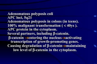 Adenomatous polyposis coli APC loci, 5q21 Adenomatous polyposis in colons (in teens). 100% malignant transformation (    40ys ). APC protein in the cytoplasm. Several partners, including   -catenin.  -catenin   entering the nucleus  activating transcription of growth-promoting genes. Causing degradation of   -catenin  maintaining low level of   -catenin in the cytoplasm. 