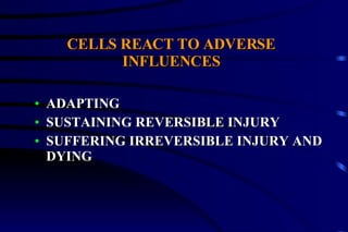 CELLS REACT TO ADVERSE INFLUENCES ADAPTING SUSTAINING REVERSIBLE INJURY SUFFERING IRREVERSIBLE INJURY AND DYING 