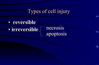 Types of cell injury  reversible irreversible necrosis apoptosis 