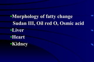 Morphology of fatty change Sudan III, Oil red O, Osmic acid Liver Heart Kidney 