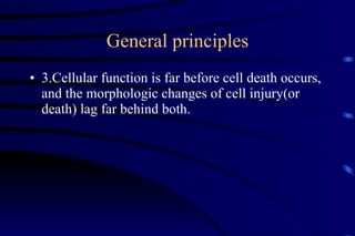 General principles 3.Cellular function is far before cell death occurs, and the morphologic changes of cell injury(or death) lag far behind both. 