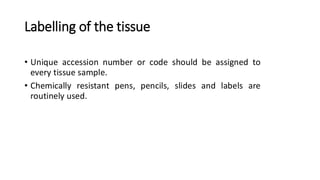 tissue-processing.pdf ffffffffffffffffff | PDF