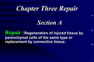 Repair : Regeneration of injured tissue by parenchymal cells of the same type or replacement by connective tissue. Chapter Three Repair Section A 