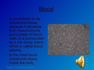 Blood   Is considered to be connective tissue because it develops from mesemchyme and consist of blood cells. It is surrounded by a non living matrix which is called blood plasma.  Is the most found connective tissue inside the body Tissue ,  Connective Tissue 