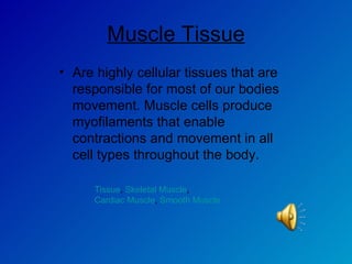 Muscle Tissue Are highly cellular tissues that are responsible for most of our bodies movement. Muscle cells produce myofilaments that enable contractions and movement in all cell types throughout the body.  Tissue ,  Skeletal Muscle ,  Cardiac Muscle ,  Smooth Muscle 