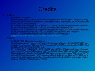 Credits Slide 6.  By Author Unknown http://images.search.yahoo.com/search/images/view?back=http%3A%2F%2Fimages.search.yahoo.com%2Fsearch%2Fimages%3Fp%3DSimple%2BColumnar%26ei%3DUTF-8%26fr%3Dyfp-t-501%26x%3Dwrt%26js%3D1%26ni%3D21&w=800&h=600&imgurl=www.technion.ac.il%2F%7Emdcourse%2F274203%2Fslides%2FEpithelium%2F4-Simple%2520Columnar%2520Epithelium.jpg&rurl=http%3A%2F%2Fwww.technion.ac.il%2F%7Emdcourse%2F274203%2Flect2.html&size=79.4kB&name=4-Simple+Columnar+Epithelium.jpg&p=Simple+Columnar&type= jpeg&no=1&tt=553&oid=c024af6db1879cb0&ei=UTF-8 Slide 7  By 2000-2007 Olympus, America Inc http://images.search.yahoo.com/search/images/view?back=http%3A%2F%2Fimages.search.yahoo.com%2Fsearch%2Fimages%3Fp%3DPseudostratified%2BEpithelial%26ei%3DUTF-8%26fr%3Dyfp-t-501%26x%3Dwrt%26js%3D1%26ni%3D21&w=508&h=368&imgurl=www.olympusmicro.com%2Fprimer%2Fanatomy%2Fbrightfieldgallery%2Fimages%2Fpseudostratifiedcilialarge.jpg&rurl=http%3A%2F%2Fwww.olympusmicro.com%2Fprimer%2Fanatomy%2Fbrightfieldgallery%2Fpseudostratifiedcilialarge.html&size=57.5kB&name=pseudostratifiedcilialarge.jpg&p=Pseudostratified+Epithelial&type=jpeg&no=5&tt=44&oid=01030af7f8b8a13c&ei=UTF-8 