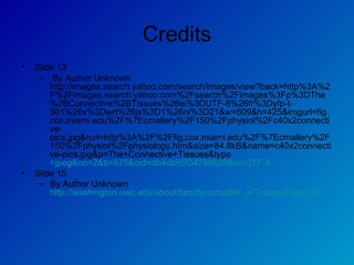 Credits Slide 13 By Author Unknown http://images.search.yahoo.com/search/images/view?back=http%3A%2F%2Fimages.search.yahoo.com%2Fsearch%2Fimages%3Fp%3DThe%2BConnective%2BTissues%26ei%3DUTF-8%26fr%3Dyfp-t-501%26x%3Dwrt%26js%3D1%26ni%3D21&w=609&h=425&imgurl=fig.cox.miami.edu%2F%7Ecmallery%2F150%2Fphysiol%2Fc40x2connective-pics.jpg&rurl=http%3A%2F%2Ffig.cox.miami.edu%2F%7Ecmallery%2F150%2Fphysiol%2Fphysiology.htm&size=84.8kB&name=c40x2connective-pics.jpg&p=The+Connective+Tissues&type =jpeg&no=2&tt=875&oid=db4db85f3479d828&ei=UTF-8 Slide 15  By Author Unknown  http://washington.uwc.edu/about/faculty/schaefer_w/TissuesPage.htm   