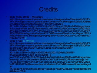 Credits Slide 16 By  BY30 – Histology http://images.search.yahoo.com/search/images/view?back=http%3A%2F%2Fimages.search.yahoo.com%2Fsearch%2Fimages%3Fp%3DElastic%2BCartilage%26ei%3DUTF-8%26fr%3Dyfp-t-501%26x%3Dwrt%26js%3D1%26ni%3D21&w=1280&h=960&imgurl=www2.sunysuffolk.edu%2Fpickenc%2FElastic%2520Cartilage%2520100X.JPG&rurl=http%3A%2F%2Fwww2.sunysuffolk.edu%2Fpickenc%2FBY30%2520Histology.htm&size=453.7kB&name=Elastic+Cartilage+100X.JPG&p=Elastic+Cartilage&type=jpeg&no=12&tt=290&oid=32434dface27f1ba&ei=UTF- 8 Slide 17 By  K. Wynne  http://images.search.yahoo.com/search/images/view?back=http%3A%2F%2Fimages.search.yahoo.com%2Fsearch%2Fimages%3Fp%3DFibroCartilage%26sp%3D1%26fr2%3Dsp-top%26ei%3DUTF-8%26fr%3Dyfp-t-501%26x%3Dwrt%26js%3D1%26ni%3D21%26ei%3DUTF-8%26SpellState%3Dn-3517502926_q-jwcFP6Dwg9dFBn2N0pWbfwAAAA%40%40&w=800&h=600&imgurl=science.tjc.edu%2FCourse%2FBIOLOGY%2F1409%2Ffibrocartilage1.6-11.jpg&rurl=http%3A%2F%2Fscience.tjc.edu%2FCourse%2FBIOLOGY%2F1409%2F1409connective.htm&size=214.2kB&name=fibrocartilage1.6-11.jpg&p=FibroCartilage&type=jpeg&no=6&tt=236&oid=edcb0609530f8048&ei=UTF-8 