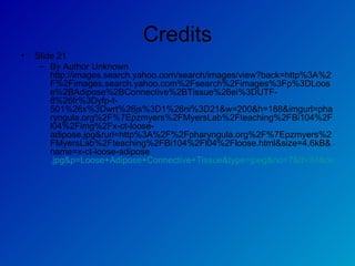 Credits Slide 21  By Author Unknown http://images.search.yahoo.com/search/images/view?back=http%3A%2F%2Fimages.search.yahoo.com%2Fsearch%2Fimages%3Fp%3DLoose%2BAdipose%2BConnective%2BTissue%26ei%3DUTF-8%26fr%3Dyfp-t-501%26x%3Dwrt%26js%3D1%26ni%3D21&w=200&h=188&imgurl=pharyngula.org%2F%7Epzmyers%2FMyersLab%2Fteaching%2FBi104%2Fl04%2Fimg%2Fx-ct-loose-adipose.jpg&rurl=http%3A%2F%2Fpharyngula.org%2F%7Epzmyers%2FMyersLab%2Fteaching%2FBi104%2Fl04%2Floose.html&size=4.6kB&name=x-ct-loose-adipose .jpg&p=Loose+Adipose+Connective+Tissue&type=jpeg&no=7&tt=34&oid=1a62fd0292fb831a&ei=UTF-8 