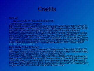 Credits Slide 22  By University of Texas Medical Branch   Cell Biology Graduate Program http://images.search.yahoo.com/search/images/view?back=http%3A%2F%2Fimages.search.yahoo.com%2Fsearch%2Fimages%3Fp%3DLoose%2BReticular%2BConnective%2BTissue%26ei%3DUTF-8%26fr%3Dyfp-t-501%26x%3Dwrt%26js%3D1%26ni%3D21&w=640&h=480&imgurl=cellbio.utmb.edu%2Fmicroanatomy%2Fconnective_tissue%2F00004518.jpg&rurl=http%3A%2F%2Fcellbio.utmb.edu%2Fmicroanatomy%2Fconnective_tissue%2Floose_connective_tissue.htm&size=208.3kB&name=00004518.jpg&p=Loose+Reticular+Connective+Tissue&type=jpeg&no=4&tt=12&oid=c858c 65cb0d517e4&ei=UTF-8 Slide 23 By Author Unknown http://images.search.yahoo.com/search/images/view?back=http%3A%2F%2Fimages.search.yahoo.com%2Fsearch%2Fimages%3Fp%3DDense%2BConnective%2BTissue%26ei%3DUTF-8%26fr%3Dyfp-t-501%26x%3Dwrt%26js%3D1%26ni%3D21&w=900&h=600&imgurl=www.public.coe.edu%2F%7Ekredborg%2FHumanslides%2Fdense.jpg&rurl=http%3A%2F%2Fwww.public.coe.edu%2F%7Ekredborg%2Fphys%2FExercise1.htm&size=290.8kB&name=dense.jpg&p=Dense+Connective+Tissue&type=jpeg&no=3&tt=367&oid=bfbff8a5add1475c&ei=UTF-8 