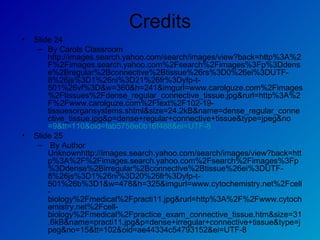 Credits Slide 24  By Carols Classroom http://images.search.yahoo.com/search/images/view?back=http%3A%2F%2Fimages.search.yahoo.com%2Fsearch%2Fimages%3Fp%3Ddense%2Bregular%2Bconnective%2Btissue%26rs%3D0%26ei%3DUTF-8%26js%3D1%26ni%3D21%26fr%3Dyfp-t-501%26vf%3D&w=360&h=241&imgurl=www.carolguze.com%2Fimages%2Ftissues%2Fdense_regular_connective_tissue.jpg&rurl=http%3A%2F%2Fwww.carolguze.com%2Ftext%2F102-19-tissuesorgansystems.shtml&size=24.2kB&name=dense_regular_connective_tissue.jpg&p=dense+regular+connective+tissue&type=jpeg&no =9&tt=110&oid=fab5758e0b16f488&ei=UTF-8 Slide 25 By Author Unknownhttp://images.search.yahoo.com/search/images/view?back=http%3A%2F%2Fimages.search.yahoo.com%2Fsearch%2Fimages%3Fp%3Ddense%2Birregular%2Bconnective%2Btissue%26ei%3DUTF-8%26js%3D1%26ni%3D20%26fr%3Dyfp-t-501%26b%3D1&w=478&h=325&imgurl=www.cytochemistry.net%2Fcell-biology%2Fmedical%2Fpracti11.jpg&rurl=http%3A%2F%2Fwww.cytochemistry.net%2Fcell-biology%2Fmedical%2Fpractice_exam_connective_tissue.htm&size=31.6kB&name=practi11.jpg&p=dense+irregular+connective+tissue&type=jpeg&no=15&tt=102&oid=ae44334c54793152&ei=UTF-8  