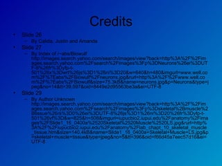 Credits Slide 26  By Calida, Justin and Amanda Slide 27  By Index of /~abs/Biowulf http://images.search.yahoo.com/search/images/view?back=http%3A%2F%2Fimages.search.yahoo.com%2Fsearch%2Fimages%3Fp%3DNeurons%26ei%3DUTF-8%26fr%3Dyfp-t-501%26x%3Dwrt%26js%3D1%26ni%3D20&w=640&h=480&imgurl=www.well.com%2F%7Eabs%2FBiowulf%2Fneurons.jpg&rurl=http%3A%2F%2Fwww.well.com%2F%7Eabs%2FBiowulf&size=75.3kB&name=neurons.jpg&p=Neurons&type=jpeg&no=14&tt=39,597&oid=8449e2d95563be3a&ei=UTF-8 Slide 29  By Author Unknown http://images.search.yahoo.com/search/images/view?back=http%3A%2F%2Fimages.search.yahoo.com%2Fsearch%2Fimages%3Fp%3Dskeletal%2Bmuscle%2Btissue%26rs%3D0%26ei%3DUTF-8%26js%3D1%26ni%3D20%26fr%3Dyfp-t-501%26vf%3D&w=825&h=508&imgurl=iupucbio2.iupui.edu%2Fanatomy%2Fimages%2FSlide1_16_0400a%2520Skeletal%2520Muscle%2520LS.jpg&rurl=http%3A%2F%2Fiupucbio2.iupui.edu%2Fanatomy%2Flab_chapt_10_skeletal_muscle_tissue.htm&size=140.4kB&name=Slide1_16_0400a+Skeletal+Muscle+LS.jpg&p=skeletal+muscle+tissue&type=jpeg&no=5&tt=396&oid=f66d45a7eec57d16&ei=UTF-8 