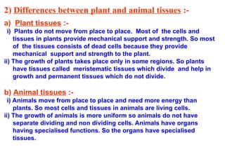 Tissue 9th Class science important ppt uploaded | PPT