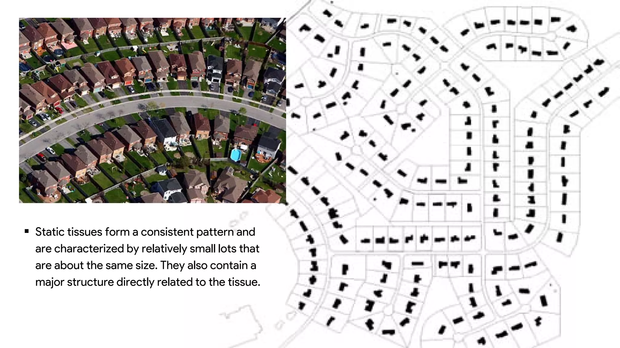  Static tissues form a consistent pattern and
are characterized by relatively small lots that
are about the same size. They also contain a
major structure directly related to the tissue.
 