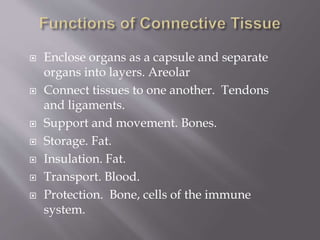  Enclose organs as a capsule and separate
organs into layers. Areolar
 Connect tissues to one another. Tendons
and ligaments.
 Support and movement. Bones.
 Storage. Fat.
 Insulation. Fat.
 Transport. Blood.
 Protection. Bone, cells of the immune
system.
 