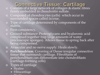  Consists of a large network of collagen & elastic fibres
firmly embedded in chondroitin sulfate.
 Composed of chondrocytes (cells) which occur in
surrounded spaces called lacunae.
 Type of cartilage determined by components of the
matrix.
 Firm consistency.
 Ground substance: Proteoglycans and hyaluronic acid
complexed together trap large amounts of water
(microscopic sponges). Allows tissue to spring back after
being compressed.
 Avascular and no nerve supply. Heals slowly.
 Perichondrium. Covering of Dense irregular connective
tissue that surrounds cartilage. Fibroblasts of
perichondrium can differentiate into chondroblasts
(cartilage-forming cells)
 Types of cartilage
 Hyaline
 Fibrocartilage
 
