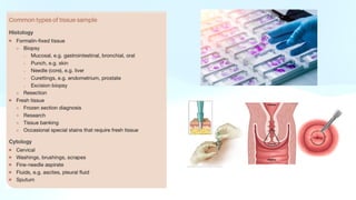 tissue and molecular diagnosis surgery .pptx