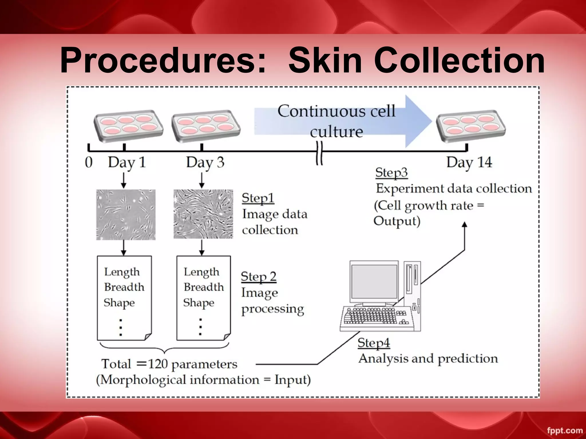 Procedures: Skin Collection
 