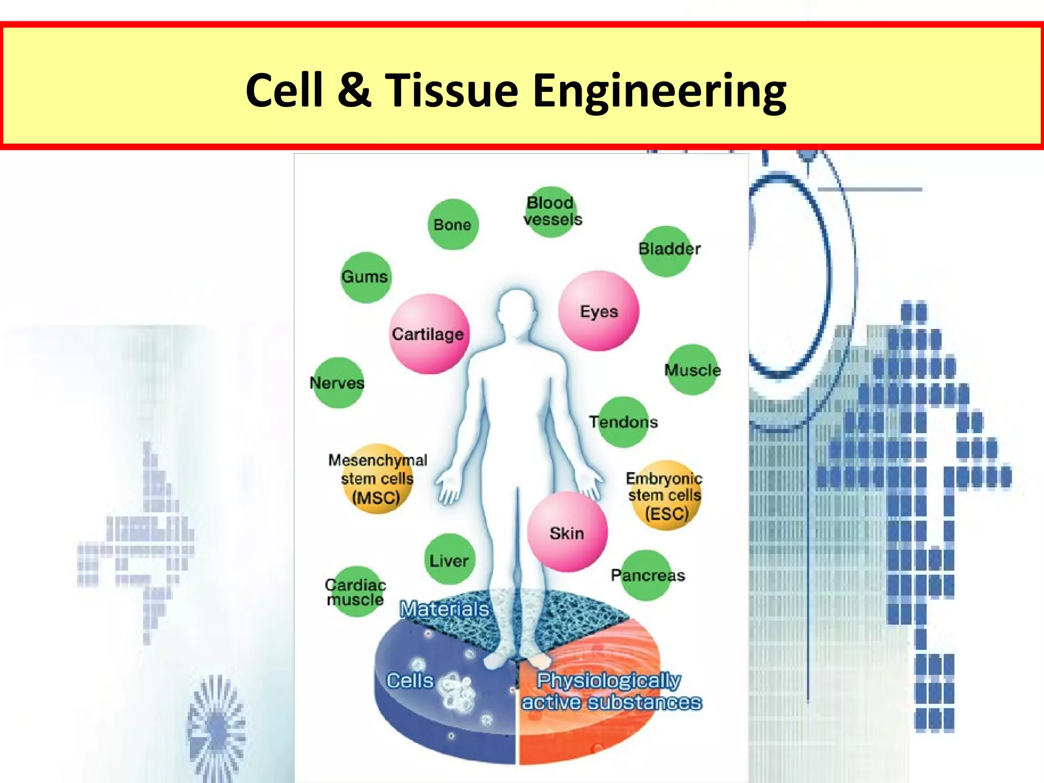 Tissue Bme PPT Tissue Bme PPT