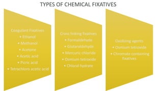 Coagulant Fixatives
• Ethanol
• Methanol
• Acetone
• Acetic acid
• Picric acid
• Tetrachloro acetic acid
Cross linking fixatives
• Formaldehyde
• Glutaraldehyde
• Mercuric chloride
• Osmium tetroxide
• Chloral hydrate
Oxidizing agents
• Osmium tetroxide
• Chromate containing
fixatives
TYPES OF CHEMICAL FIXATIVES
 
