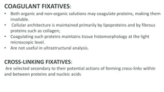 • Both organic and non-organic solutions may coagulate proteins, making them
insoluble.
• Cellular architecture is maintained primarily by lipoproteins and by fibrous
proteins such as collagen;
• Coagulating such proteins maintains tissue histomorphology at the light
microscopic level.
• Are not useful in ultrastructural analysis.
CROSS-LINKING FIXATIVES:
Are selected secondary to their potential actions of forming cross-links within
and between proteins and nucleic acids
COAGULANT FIXATIVES:
 