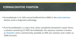 FORMALDEHYDE FIXATION
 Formaldehyde in its 10% neutral buffered form (NBF) is the most common
fixative used in diagnostic pathology.
 Pure formaldehyde is a vapor that, when completely dissolved in water forms
a solution containing 37-40% formaldehyde; this aqueous solution is known
as ‘formalin’ and is commercially available as 40% w/v solution and is taken as
100% formalin
 