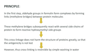 PRINCIPLE:
In the first step, aldehyde groups in formalin form complexes by forming
links (methylene bridges) between protein molecules
These methylene bridges subsequently react with several side chains of
protein to form reactive hydroxymethyl side groups
This cross-linkage does not harm the structure of proteins greatly, so that
the antigenicity is not lost
However, thus cross-linking is reversible by simple washing in water
 