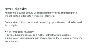 Renal biopsies
Renal core biopsies should be subdivided into three and each piece
should contain adequate numbers of glomeruli
Each portion is then preserved, depending upon the method to be used
for analysis:
• NBF for routine histology
• Buffered glutaraldehyde (pH 7.3) for ultrastructural analysis
• Snap frozen in isopentane and liquid nitrogen for immunofluorescence
examination.
 