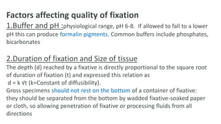 Factors affecting quality of fixation
1.Buffer and pH :physiological range, pH 6-8. If allowed to fall to a lower
pH this can produce formalin pigments. Common buffers include phosphates,
bicarbonates
2.Duration of fixation and Size of tissue
The depth (d) reached by a fixative is directly proportional to the square root
of duration of fixation (t) and expressed this relation as
d = k √t (k=Constant of diffusibility).
Gross specimens should not rest on the bottom of a container of fixative:
they should be separated from the bottom by wadded fixative-soaked paper
or cloth, so allowing penetration of fixative or processing fluids from all
directions
 