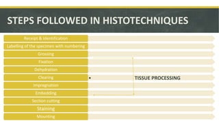 STEPS FOLLOWED IN HISTOTECHNIQUES
Receipt & Identification
Labelling of the specimen with numbering
Grossing
Fixation
Dehydration
• TISSUE PROCESSINGClearing
Impregnation
Embedding
Section cutting
Staining
Mounting
 
