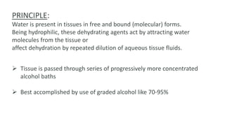 PRINCIPLE:
Water is present in tissues in free and bound (molecular) forms.
Being hydrophilic, these dehydrating agents act by attracting water
molecules from the tissue or
affect dehydration by repeated dilution of aqueous tissue fluids.
 Tissue is passed through series of progressively more concentrated
alcohol baths
 Best accomplished by use of graded alcohol like 70-95%
 