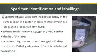 Specimen identification and labelling:
1) Specimen/tissue taken from the body as biopsy by the
surgeon is put in a container containg 10% formalin and
along with a requisition form giving
• patients details like name, age, gender, MRD number
• identity of the tissue
• provisional diagnosis and other investigation findings
sent to the Pathology department for Histopathological
examination.
 
