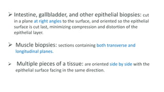  Intestine, gallbladder, and other epithelial biopsies: cut
in a plane at right angles to the surface, and oriented so the epithelial
surface is cut last, minimizing compression and distortion of the
epithelial layer.
 Muscle biopsies: sections containing both transverse and
longitudinal planes.
 Multiple pieces of a tissue: are oriented side by side with the
epithelial surface facing in the same direction.
 