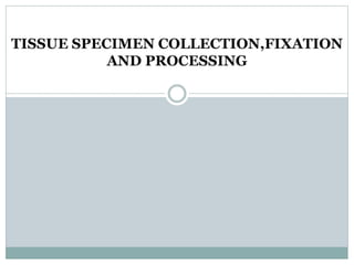TISSUE SPECIMEN COLLECTION,FIXATION
AND PROCESSING
 