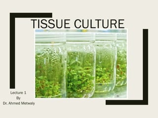 Lecture 1
By
Dr. Ahmed Metwaly
TISSUE CULTURE
 