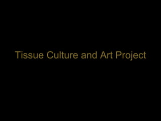 Tissue Culture &
Tissue Culture and Art Project
 