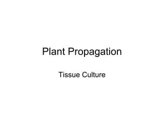 Plant Propagation Tissue Culture 