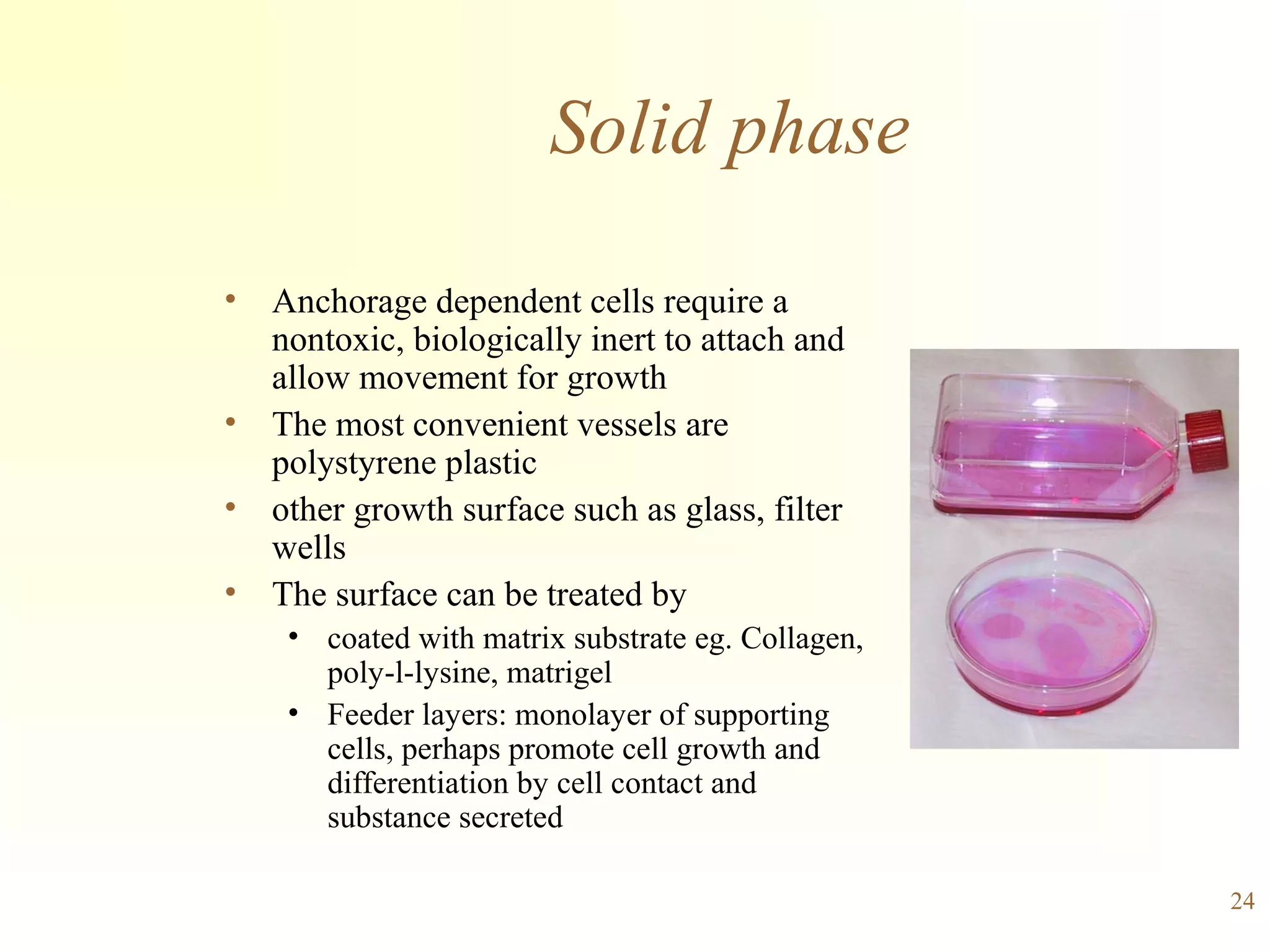 Tissue culture.ppt1 2 | PPT