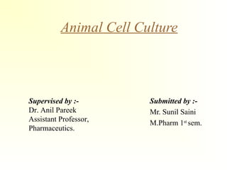 Animal Cell Culture
Submitted by :-
Mr. Sunil Saini
M.Pharm 1st
sem.
Supervised by :-
Dr. Anil Pareek
Assistant Professor,
Pharmaceutics.
 