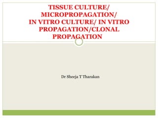 TISSUE CULTURE/
MICROPROPAGATION/
IN VITRO CULTURE/ IN VITRO
PROPAGATION/CLONAL
PROPAGATION
Dr Sheeja T Tharakan
 