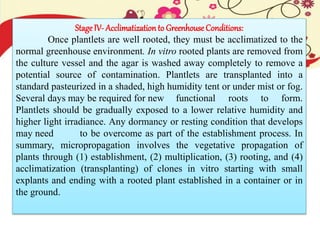 Stage IV- Acclimatization to Greenhouse Conditions:
Once plantlets are well rooted, they must be acclimatized to the
normal greenhouse environment. In vitro rooted plants are removed from
the culture vessel and the agar is washed away completely to remove a
potential source of contamination. Plantlets are transplanted into a
standard pasteurized in a shaded, high humidity tent or under mist or fog.
Several days may be required for new functional roots to form.
Plantlets should be gradually exposed to a lower relative humidity and
higher light irradiance. Any dormancy or resting condition that develops
may need to be overcome as part of the establishment process. In
summary, micropropagation involves the vegetative propagation of
plants through (1) establishment, (2) multiplication, (3) rooting, and (4)
acclimatization (transplanting) of clones in vitro starting with small
explants and ending with a rooted plant established in a container or in
the ground.
 