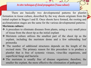 There are basically two developmental patterns for plantlet
formation in tissue culture, described by the way shoots originate from the
initial explant in Stages I and II. Once shoots have formed, the rooting and
acclimatization stages are the same for the various developmental patterns.
Meristem culture:
 A procedure to eliminate diseases from plants, using a very small piece
of tissue from the shoot tip as the initial explant
 Meristem culture utilizes the smallest part of the shoot tip as the
explant, including the meristem dome and a few subtending leaf
primordia
 The number of additional structures depends on the length of the
excised stem. The primary reason for this procedure is to produce a
plantlet that is free of systemic viruses, virus-like organisms, and
superficial fungi and bacteria
 The meristem is usually free of disease organisms; therefore, the
smaller the explant, the more effective the elimination of pathogens
Invitro techniques of clonal propagation(Tissue culture):
 