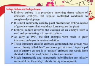 EmbryoCulture and EmbryoRescue:
 Embryo culture is a procedure involving tissue culture of
immature embryos that require controlled conditions to
complete development
 It is most commonly used by plant breeders for embryo rescue
of genetic crosses that would not form seed on the plant
 Embryo culture involves the excision of an embryo from a
seed and germinating it in aseptic culture
 As early as 1904, the first attempts were made to grow
immature embryos in nutrient solution
 These immature crucifer embryos germinated, but growth was
weak. Hannig called this “precocious germination.” A principal
use of embryo culture is to “rescue” embryos that would have
aborted within the seed before the fruit was mature
 Much interspecific and intergeneric hybridization are initially
successful but the embryo aborts during development.
 