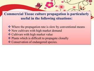 Commercial Tissue culture propagation is particularly
useful in the following situations:
 Where the propagation rate is slow by conventional means
 New cultivars with high market demand
 Cultivars with high market value
 Plants which is difficult to propagate clonally
 Conservation of endangered species.
 