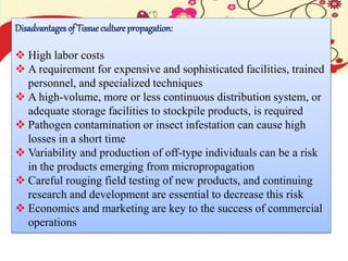 Disadvantages of Tissue culture propagation:
 High labor costs
 A requirement for expensive and sophisticated facilities, trained
personnel, and specialized techniques
 A high-volume, more or less continuous distribution system, or
adequate storage facilities to stockpile products, is required
 Pathogen contamination or insect infestation can cause high
losses in a short time
 Variability and production of off-type individuals can be a risk
in the products emerging from micropropagation
 Careful rouging field testing of new products, and continuing
research and development are essential to decrease this risk
 Economics and marketing are key to the success of commercial
operations
 