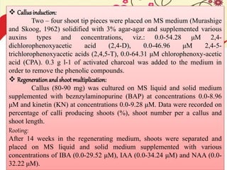  Callusinduction:
Two – four shoot tip pieces were placed on MS medium (Murashige
and Skoog, 1962) solidified with 3% agar-agar and supplemented various
auxins types and concentrations, viz.: 0.0-54.28 μM 2,4-
dichlorophenoxyacetic acid (2,4-D), 0.0-46.96 μM 2,4-5-
trichlorophenoxyacetic acids (2,4,5-T), 0.0-64.31 μM chlorophenoxy-acetic
acid (CPA). 0.3 g l-1 of activated charcoal was added to the medium in
order to remove the phenolic compounds.
 Regenerationand shoot multiplication:
Callus (80-90 mg) was cultured on MS liquid and solid medium
supplemented with beznzylaminopurine (BAP) at concentrations 0.0-8.96
μM and kinetin (KN) at concentrations 0.0-9.28 μM. Data were recorded on
percentage of calli producing shoots (%), shoot number per a callus and
shoot length.
Rooting:
After 14 weeks in the regenerating medium, shoots were separated and
placed on MS liquid and solid medium supplemented with various
concentrations of IBA (0.0-29.52 μM), IAA (0.0-34.24 μM) and NAA (0.0-
32.22 μM).
 