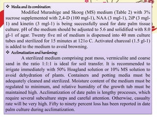  Mediaand itscombination:
Modified Murashige and Skoog (MS) medium (Table 2) with 3%
sucrose supplemented with 2,4-D (100 mgl-1), NAA (3 mgl-1), 2iP (3 mgl-
1) and kinetin (3 mgl-1) is being successfully used for date palm tissue
culture. pH of the medium should be adjusted to 5.6 and solidified with 8.0
gl-1 of agar. Twenty five ml of medium is dispensed into 40 mm culture
tubes and sterilized for 15 minutes at 121o C. Activated charcoal (1.5 gl-1)
is added to the medium to avoid browning.
 Acclimatizationand hardening:
A sterilized medium comprising peat moss, vermiculite and coarse
sand in the ratio 1:1:1 is ideal for soil transfer. It is recommended to
irrigate immediately with 50% Hoagland solution or 10% MS solution to
avoid dehydration of plants. Containers and potting media must be
adequately cleaned and sterilized. Moisture content of the medium must be
regulated to minimum, and relative humidity of the growth tub must be
maintained high. Acclimatization of date palm is lengthy processes, which
require several subculture steps and careful attention. Otherwise, casualty
rate will be very high. Fifty to ninety percent loss has been reported in date
palm culture during acclimatization.
 